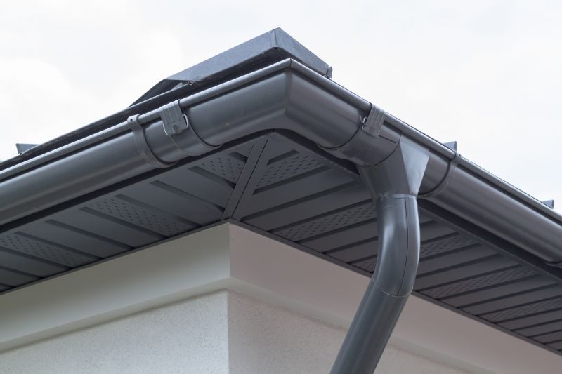 New Gutter System with Downspouts